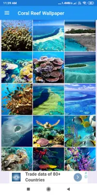 Coral Reef HD Wallpapers android App screenshot 3