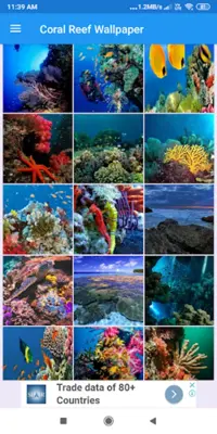 Coral Reef HD Wallpapers android App screenshot 7